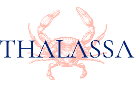 logo dark